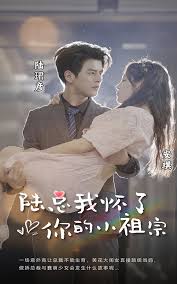 陆总,我怀了你的小祖宗