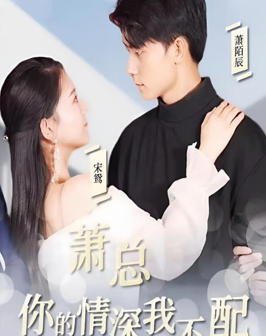 萧总,你的情深我不配