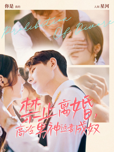 禁止离婚,高冷男神追妻成奴
