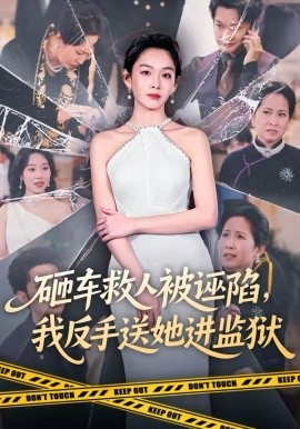 砸车救人被诬陷,我反手送她进监狱