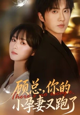 顾总,你的小孕妻又跑了